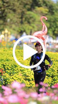 BIB:  <button type="button" onclick="openModal(27583729)" class="btn btn-primary btn-sm float-right" data-toggle="modal" data-target=".modal-high-quality">
                <i class="fa fa-download"></i> Download
                </button>